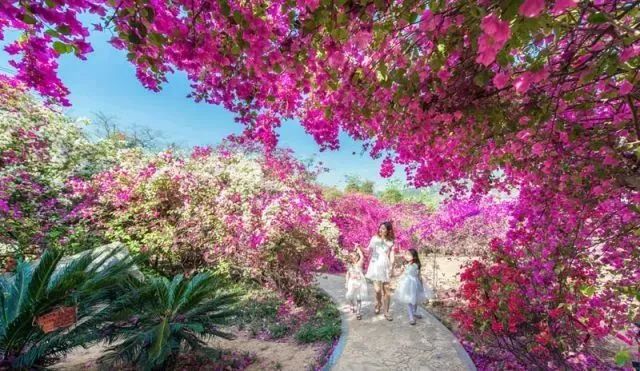 新华社攀枝花,新华社三亚