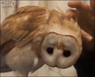 每天这样做，颈椎病竟然全好了！90%的人都不知道...