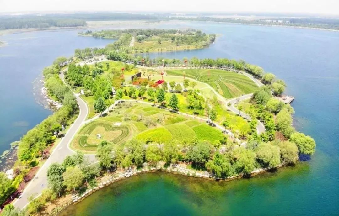 来赏花郁金香花展已开启,春日踏青花博会