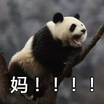 卡塔尔世界杯表情包,世界杯吉祥物表情包