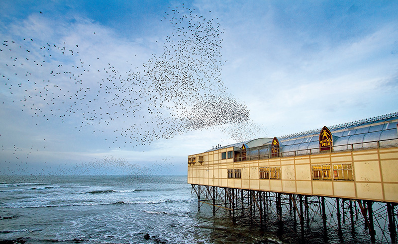 鎯犳儬鎽勫奖浣滃搧娆ｈ祻,鎯犳媿鎽勫奖