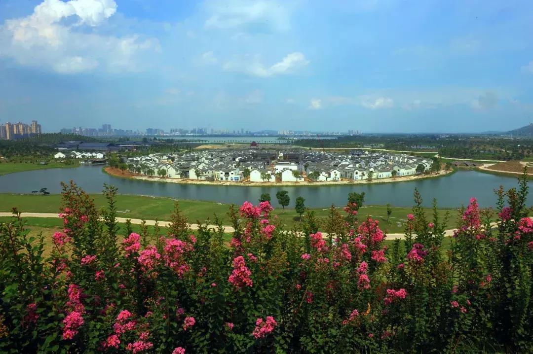 世界杯任意球大赛贝克汉姆,贝克汉姆罗纳尔多世界杯