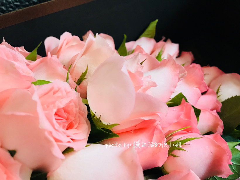 花店鲜花推荐,应季鲜花花店推荐