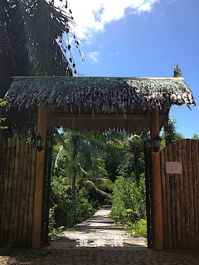 帕劳海底之旅,帕劳的海底