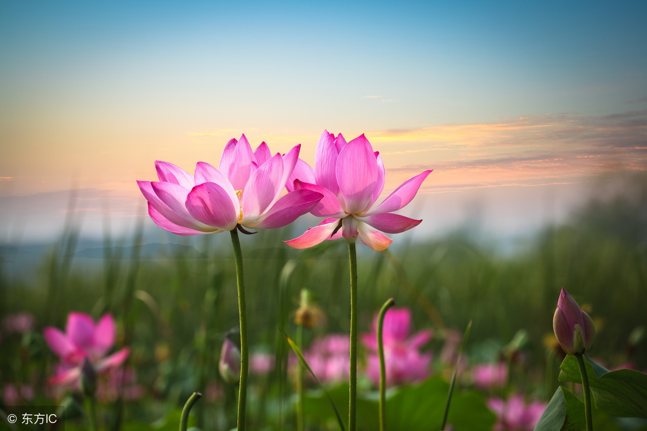 生活小常识收藏,各种实用的生活小常识