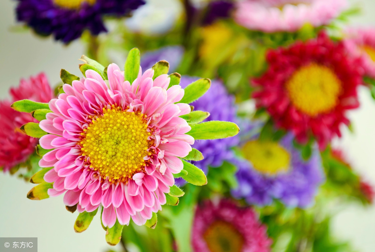 生活小常识收藏,各种实用的生活小常识