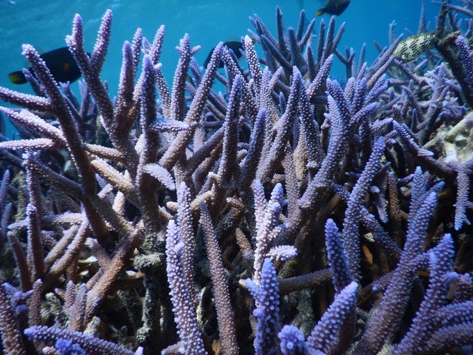 端午来这个绝美海岛,端午海岛游