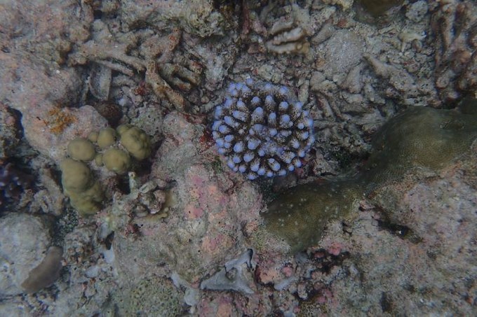 端午来这个绝美海岛,端午海岛游