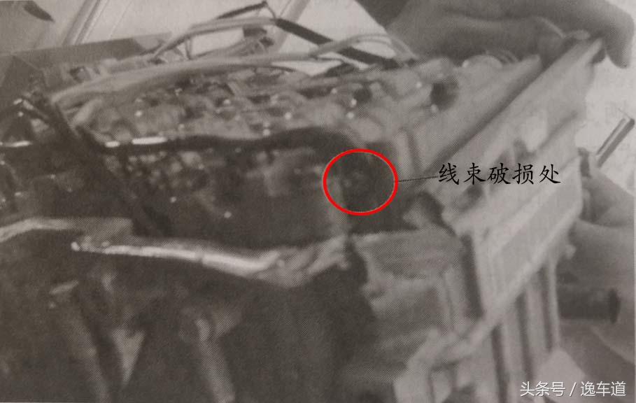 专门为中国人设计的大众车,为中国市场打造的车