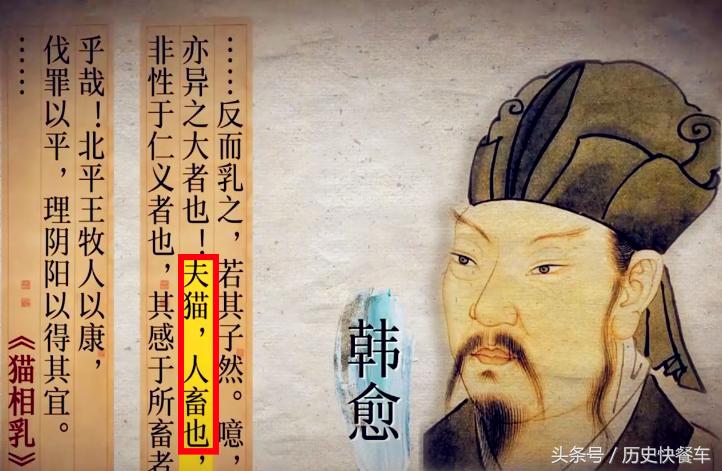 喵星人的变化史,喵星人养猫13年经验分享