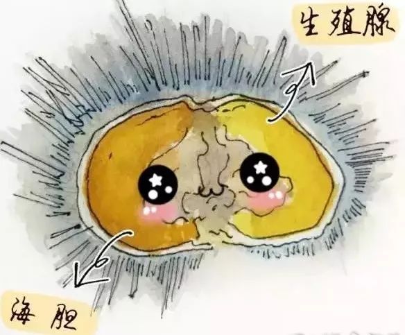 慎点内容完整版,慎点是什么