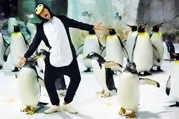 不用计划了！大连人的这个端午，看着这条微信过就行！