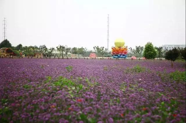 义乌游玩好去处义乌海洋世界,义乌五一亲子游推荐水上乐园