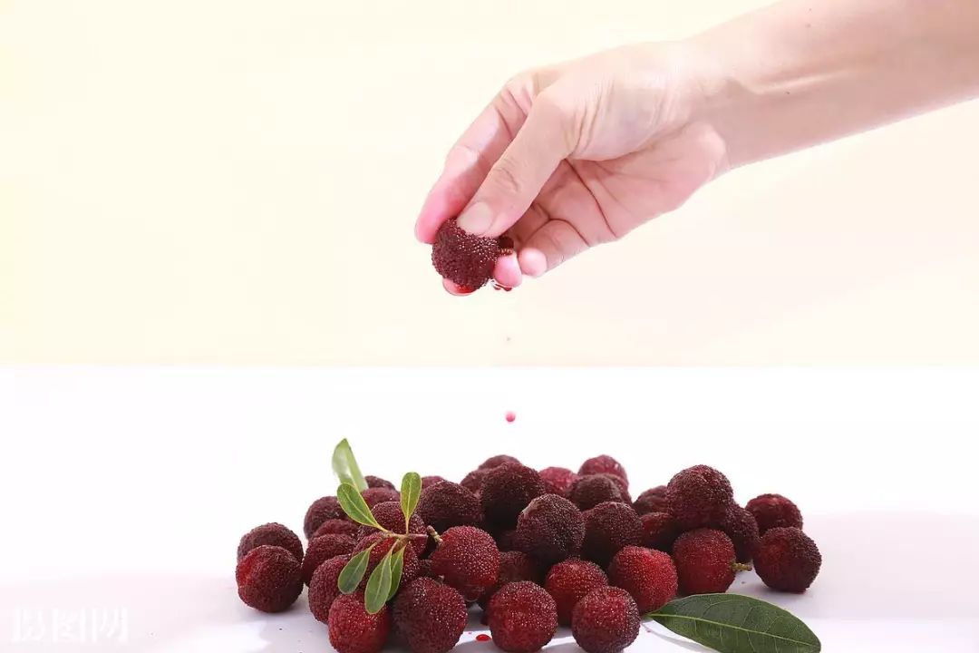 如何让杨梅里的虫子快速除去,杨梅有虫子视频新闻大求真