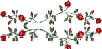 端午节来临之际祝大家端午快乐,端午节将至祝大家端午节快乐