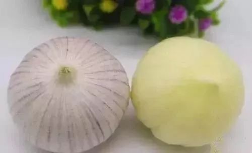 什么东西发了芽再吃成了抗癌冠军,发了芽再吃抗癌作用特别大