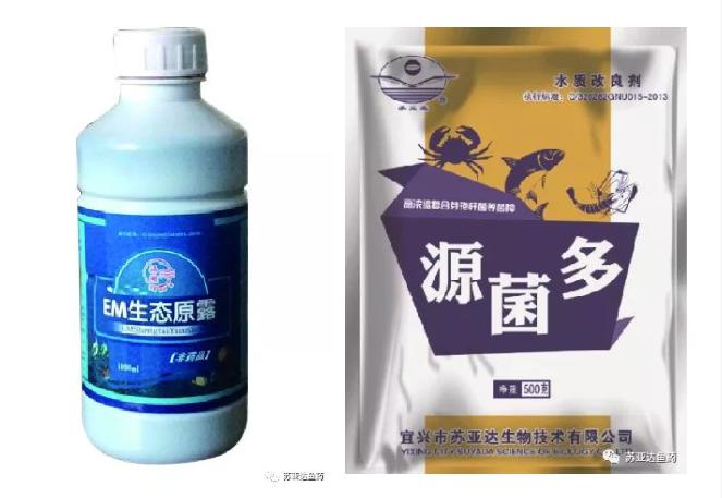 淡水鱼出血病防治对策