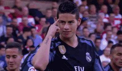 世界杯肉肉的仙人球,世界杯胖嘟嘟