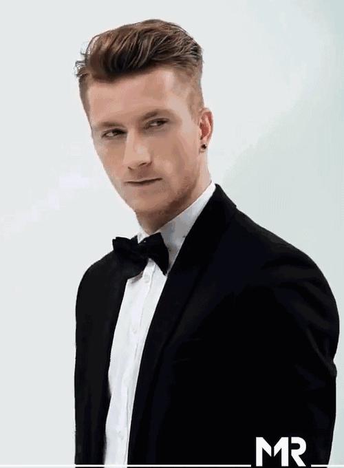 世界杯肉肉的仙人球,世界杯胖嘟嘟