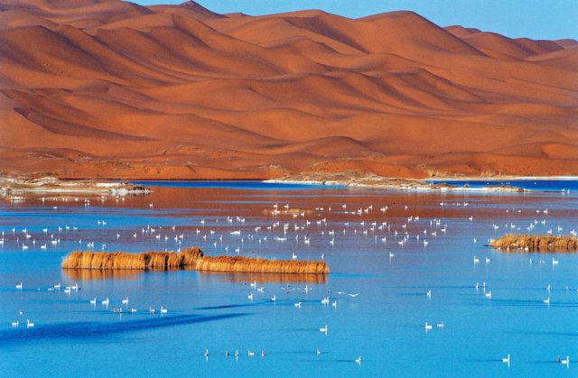 terra150adv全新车,terra150adv老款