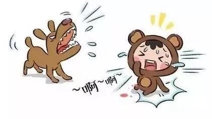 新余狂犬病,江西有狂犬病案例吗