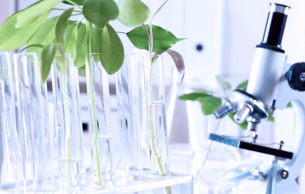 润颜嫩滑补水面膜,秋冬季补水修护面膜