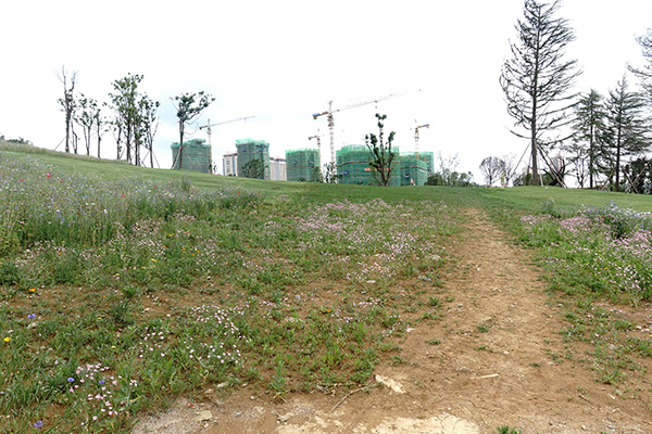 安家｜互联网新贵们涌进贵阳：“抽支烟的功夫就决定买套房”