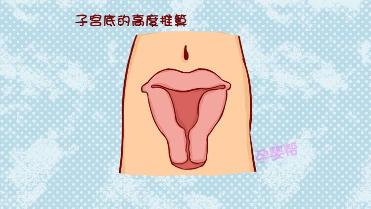 孕妈怎么计算宝宝几周了,孕妇如何正确算预产期