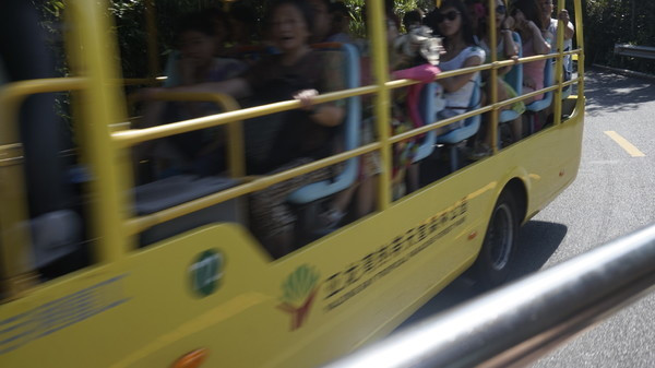 一个人的旅行真的有意义吗,旅行的意义和不期而遇的相遇