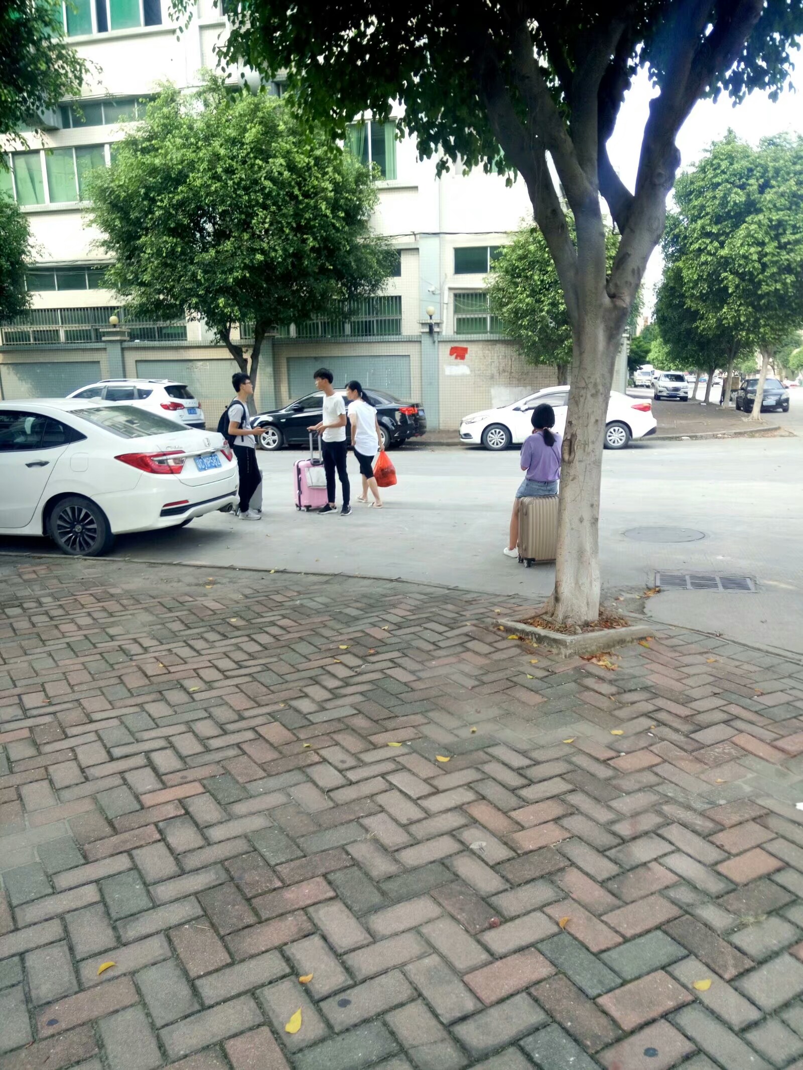 大朗毛织厂有招工的嘛,广东东莞大朗毛织厂最新招聘信息