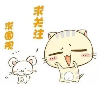 皇马引援最新动向后卫,皇马引援名单最新