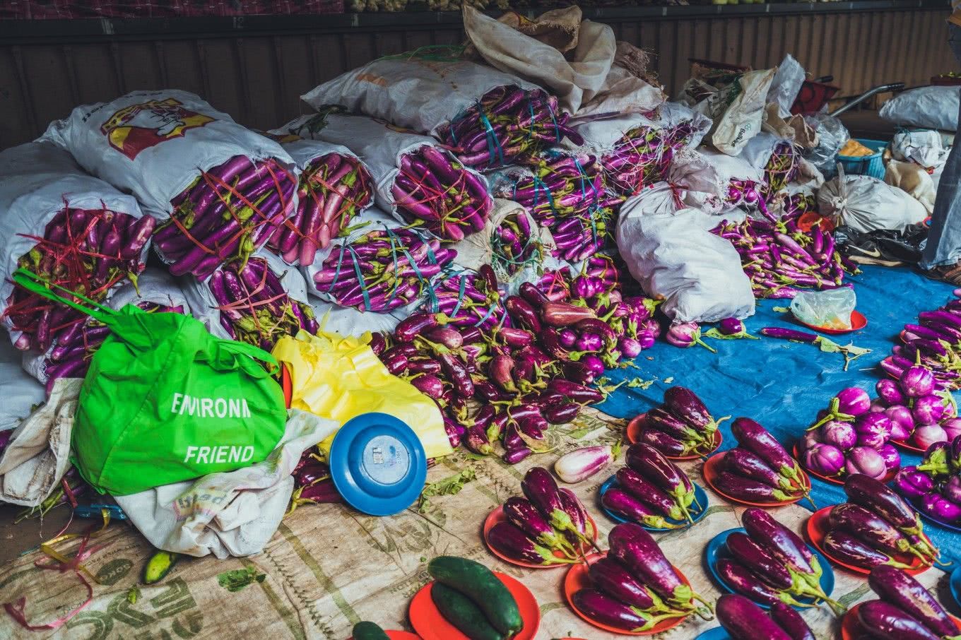 在斐济生活,斐济生活的真实感受