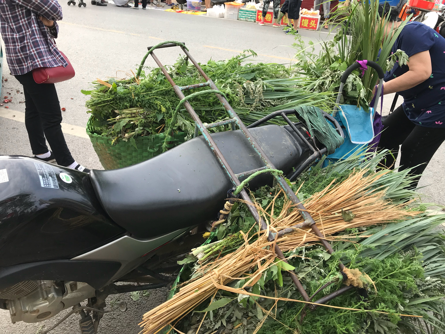 端午节，别忘了洗草药祛病避邪