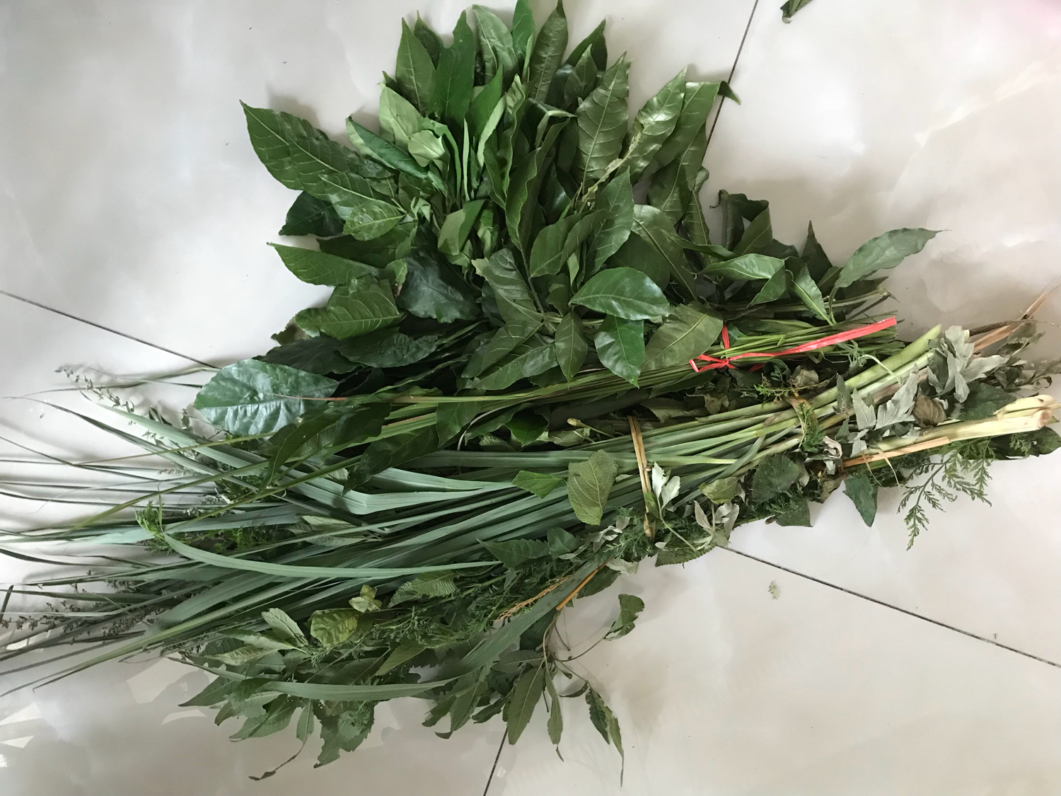 端午节，别忘了洗草药祛病避邪