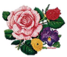 关于端午节的吉祥语送给朋友,端午节提前给大家送祝福