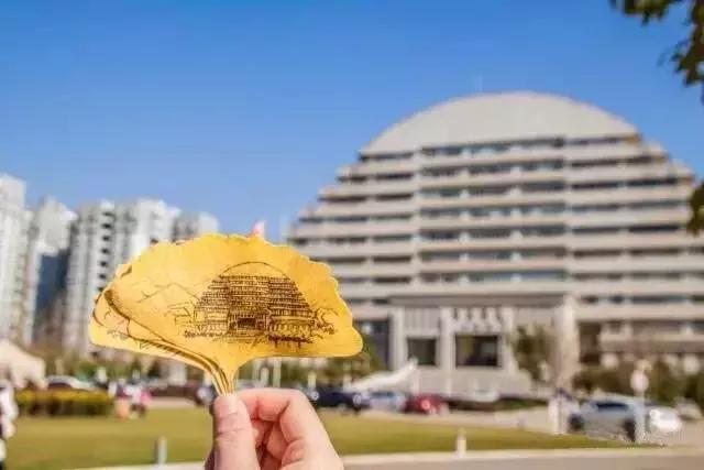 云南最好的大学是哪个大学,云南最好农校