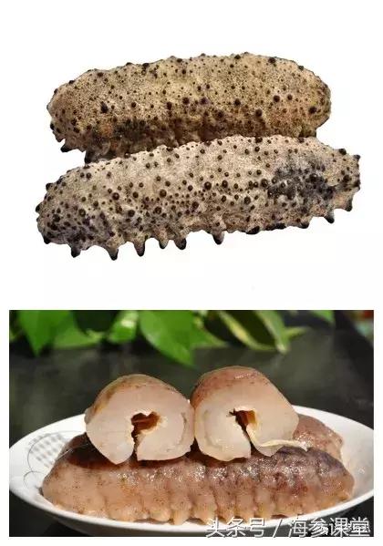 为什么有的海参没有筋,有刺海参和无刺海参价格差多少