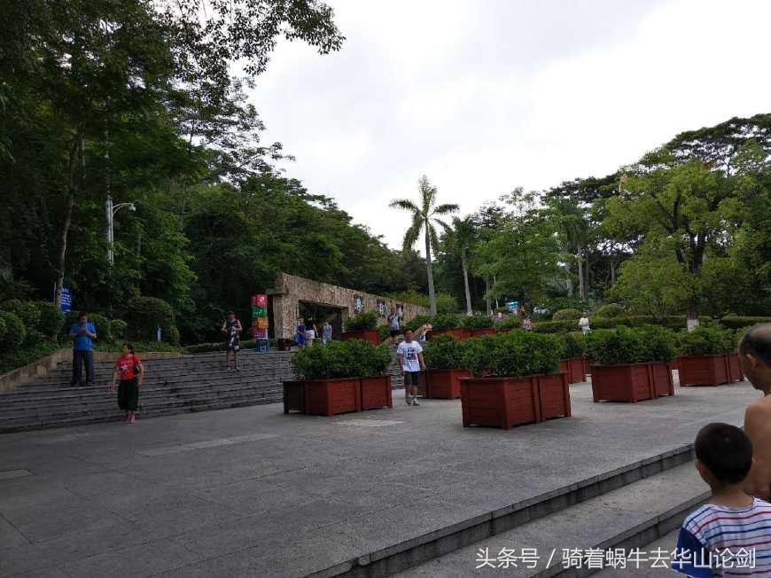 第一次去深圳感觉到了未来,深圳宝安公园一日游攻略