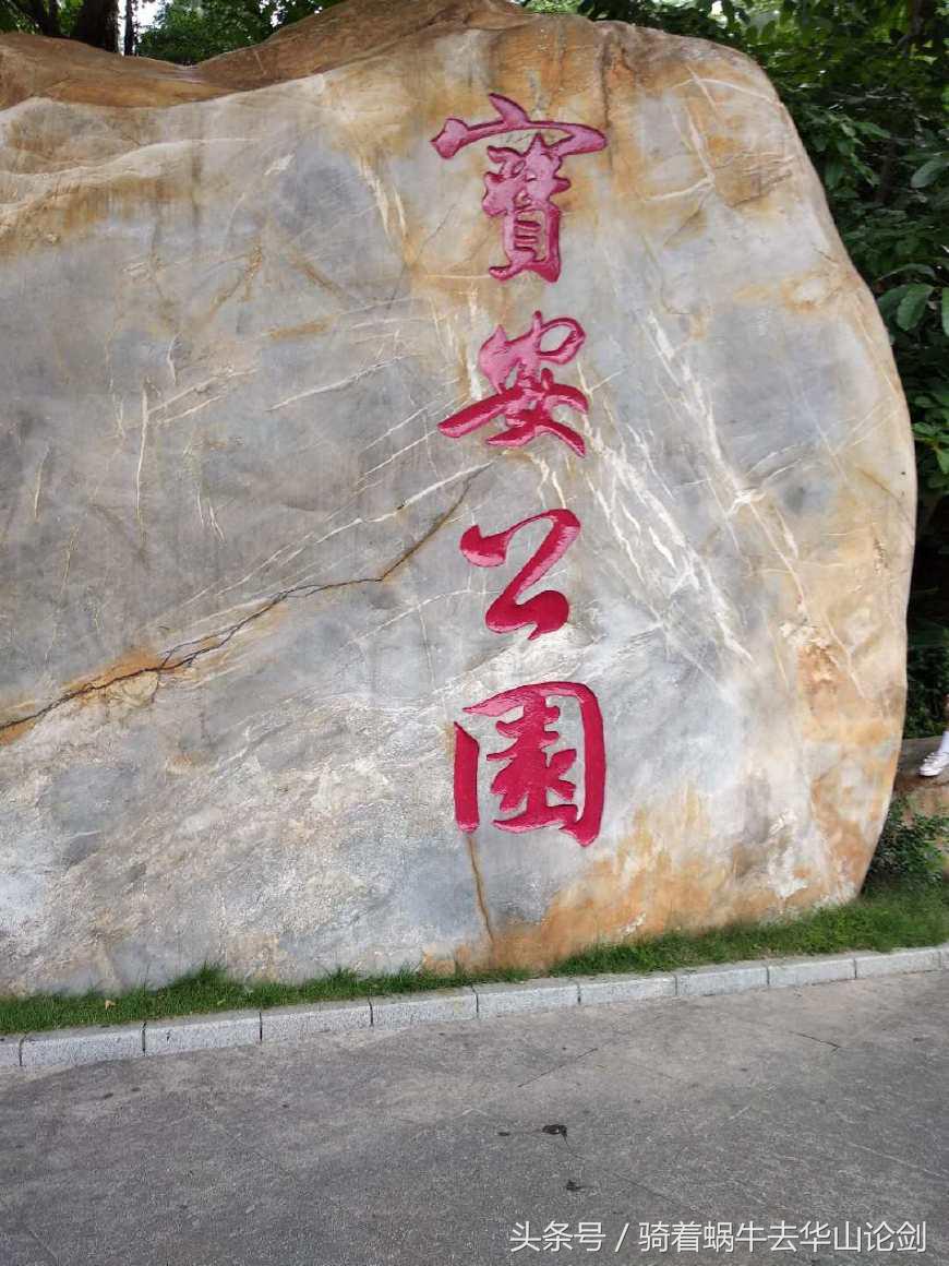 第一次去深圳感觉到了未来,深圳宝安公园一日游攻略