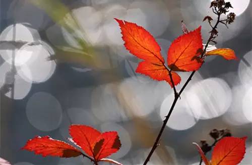 适合初中生写作文的英语谚语,初中英语谚语大全励志篇