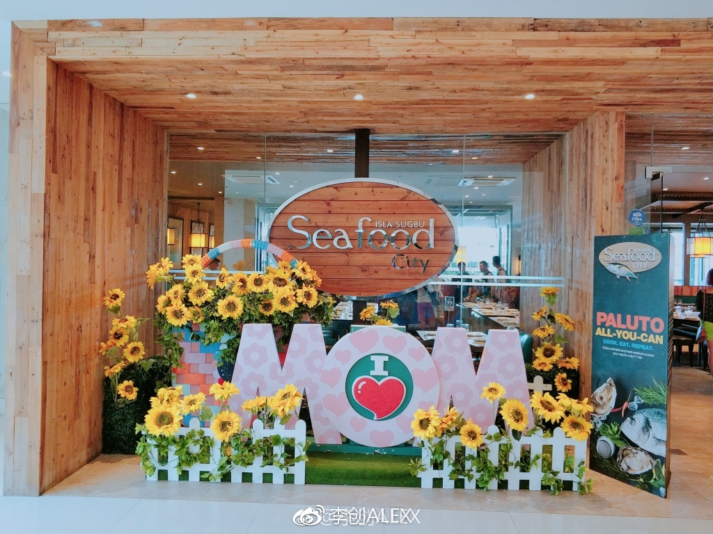 菲律宾宿务薄荷岛潜水之行,菲律宾宿务岛旅游潜水