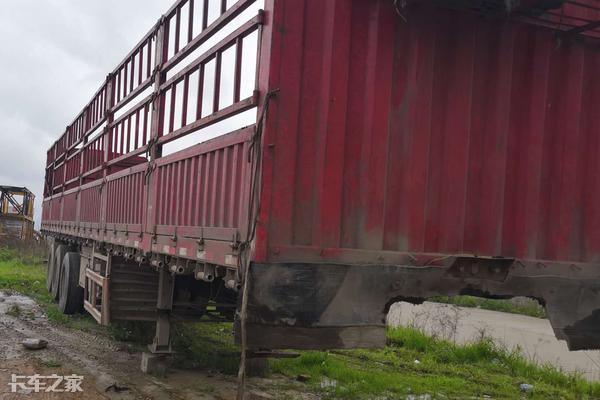 新手司机买新车还是二手车比较好,老司机告诉你买车为什么买低配