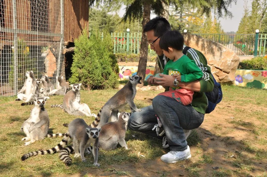 金宝游乐园最新消息,金宝乐园营业时间