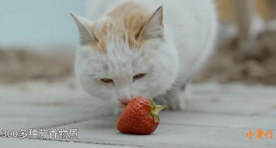 豆瓣8.9高分,豆瓣8.9评分经典