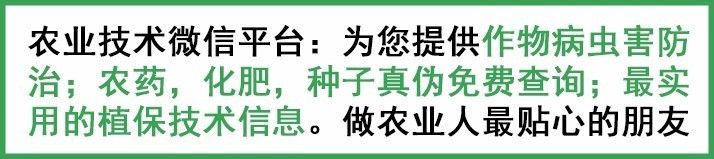 农事的儿歌大全,农事歌大全