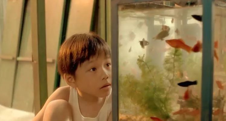 c罗家庭成员主要有谁,c罗小时候家庭条件