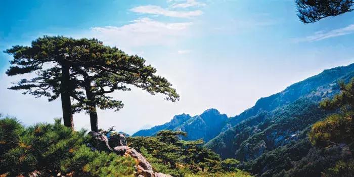 山东最美慢火车,山东景观火车