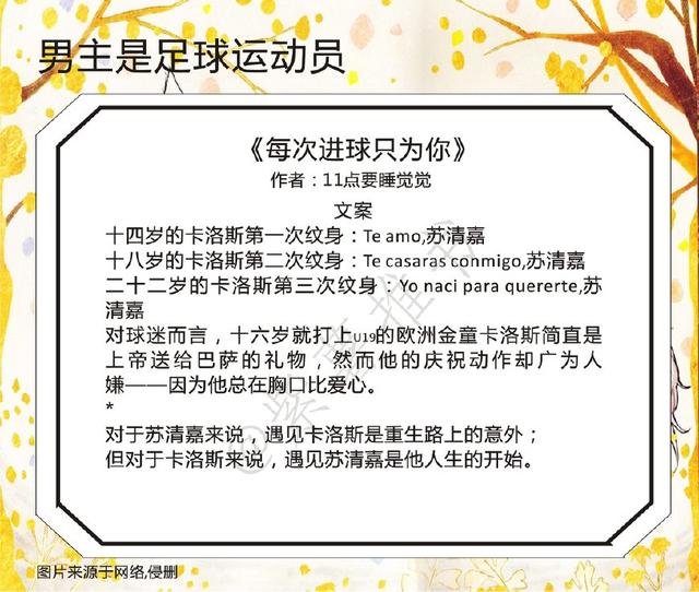 关于男主是足球球员的小说,男主是足球运动员的言情小说
