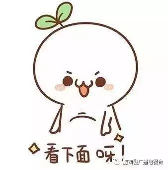 巴布豆等童鞋抽检不合格,巴布豆童鞋抽检不合格