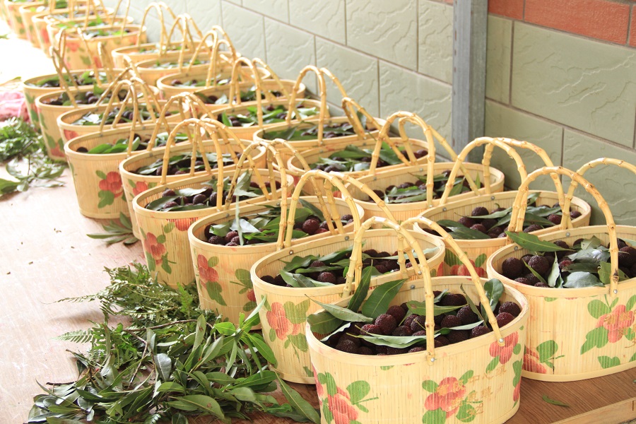 晚稻杨梅优缺点,顶级晚稻杨梅